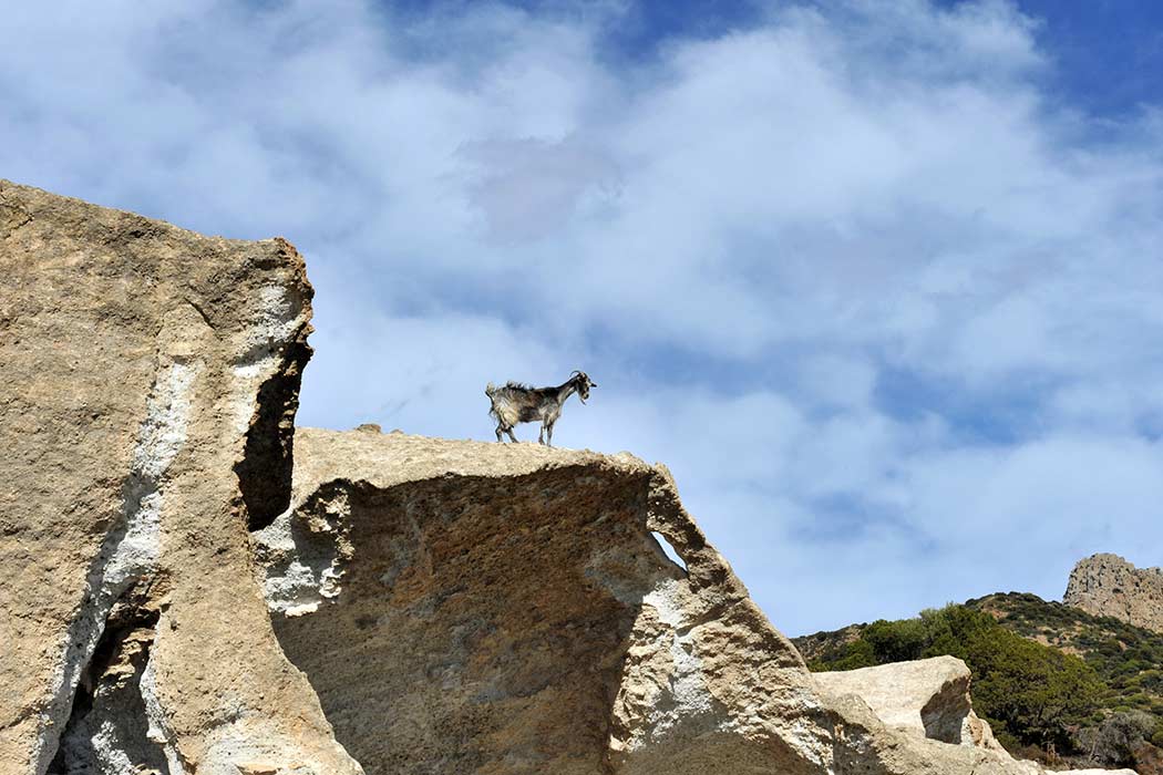 Milos Giourgas Apartments & Studios in Milos, Greece