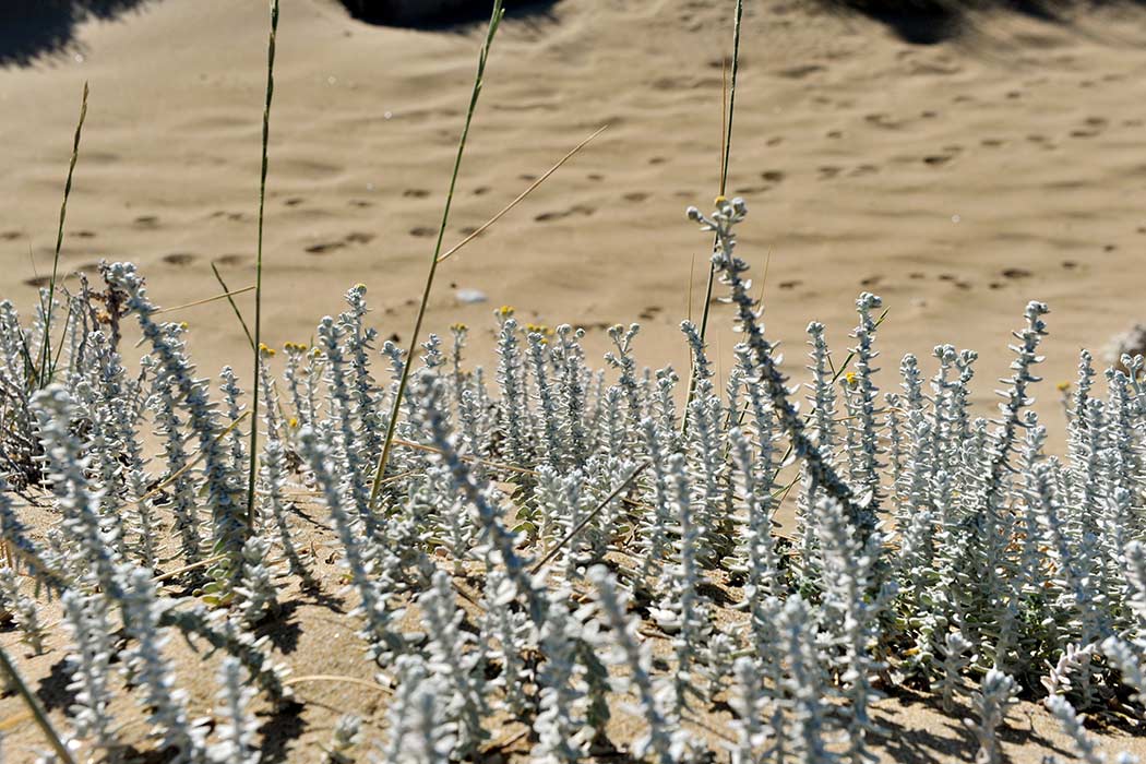 Milos Giourgas Apartments & Studios in Milos, Greece