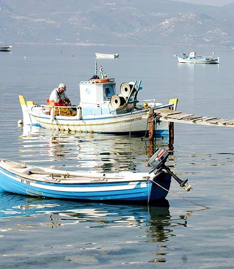 Milos Giourgas Apartments & Studios in Milos, Greece