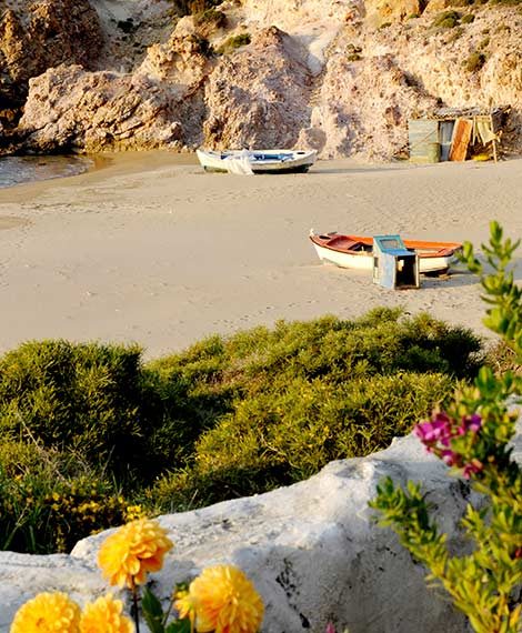 Milos Giourgas Apartments & Studios in Milos, Greece